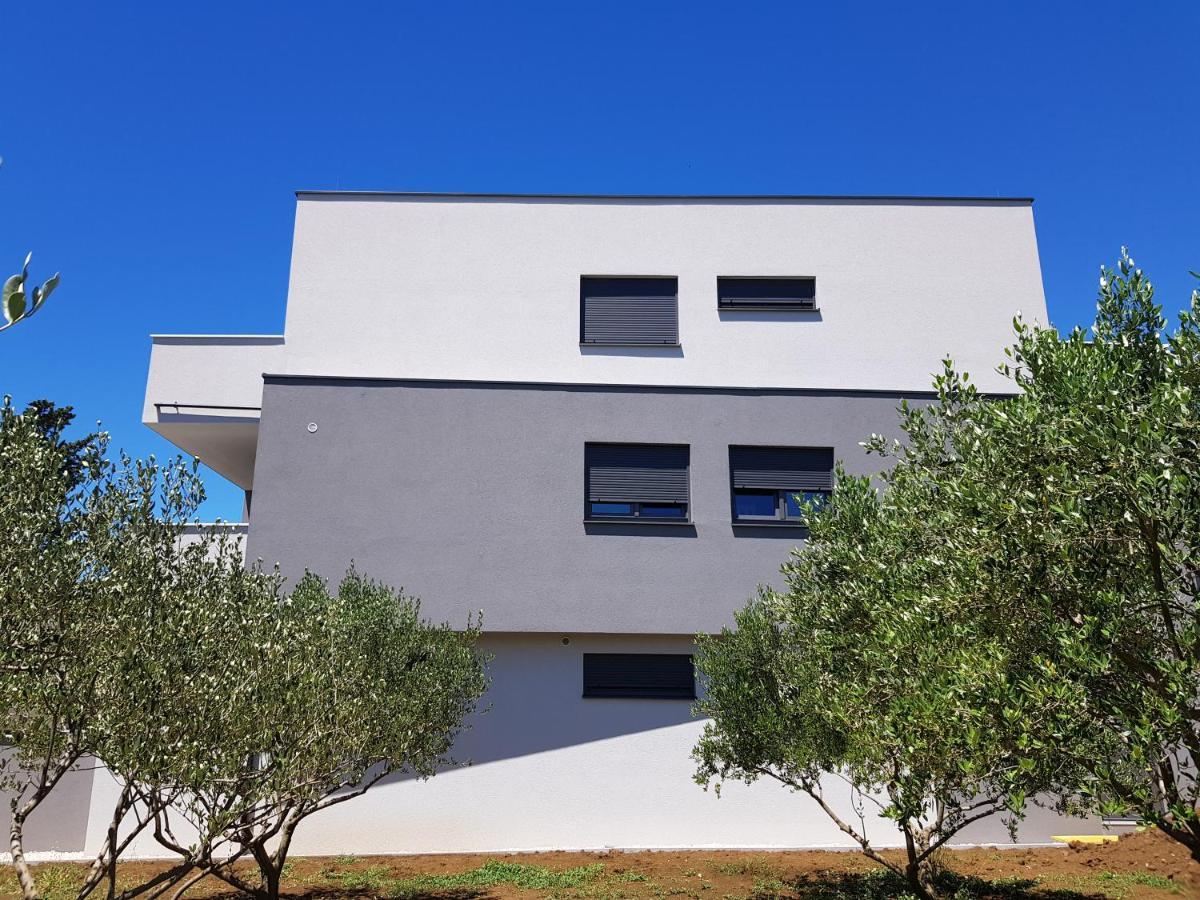Vila Maslina - Apartman 3 Zadar Exterior photo